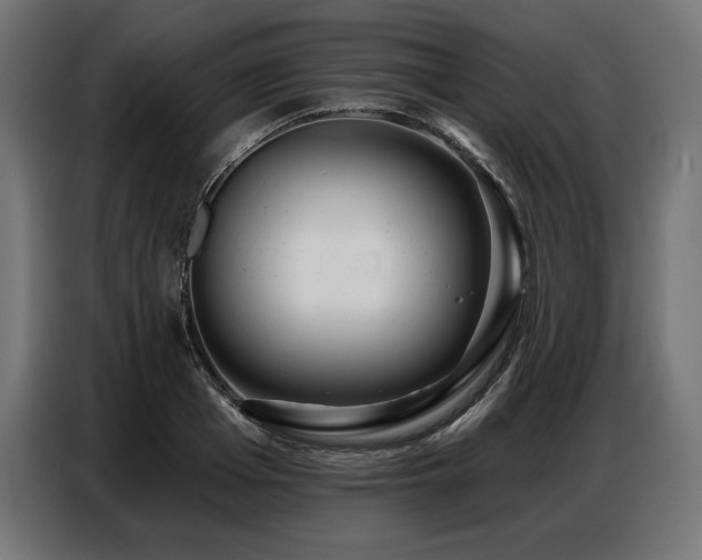 X0000086880985200704161217