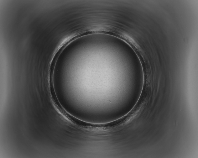 X0000086880986200704161217