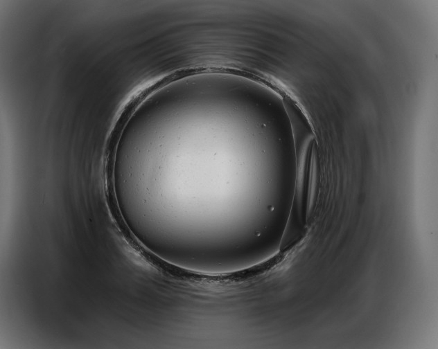 X0000086880987200704161217