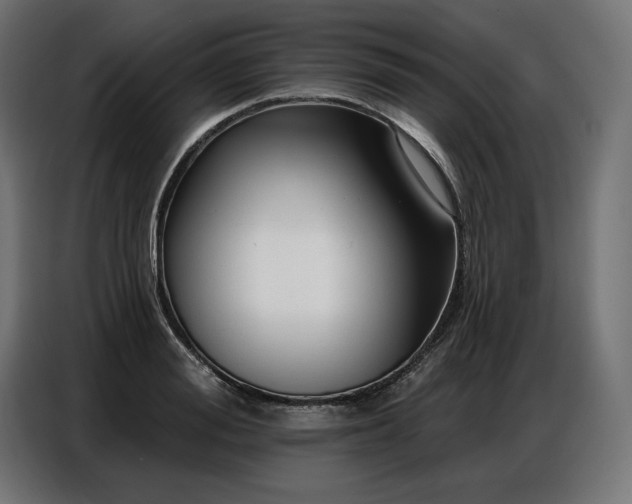 X0000086880988200704161217