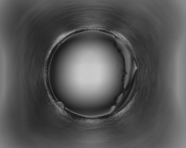 X0000086880989200704161217