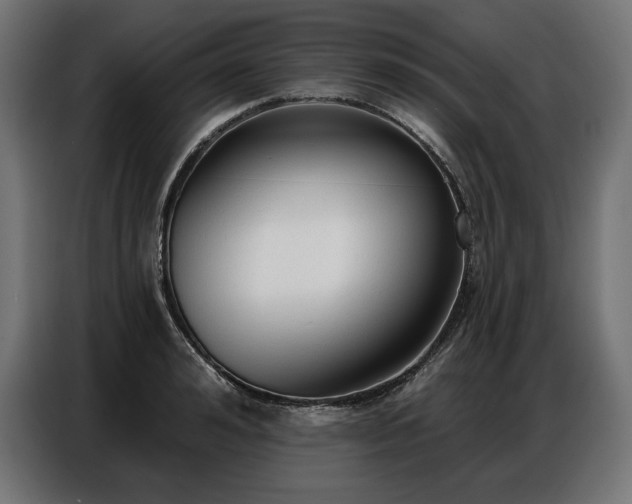 X0000086880992200704161217