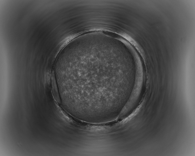 X0000086880993200704161217