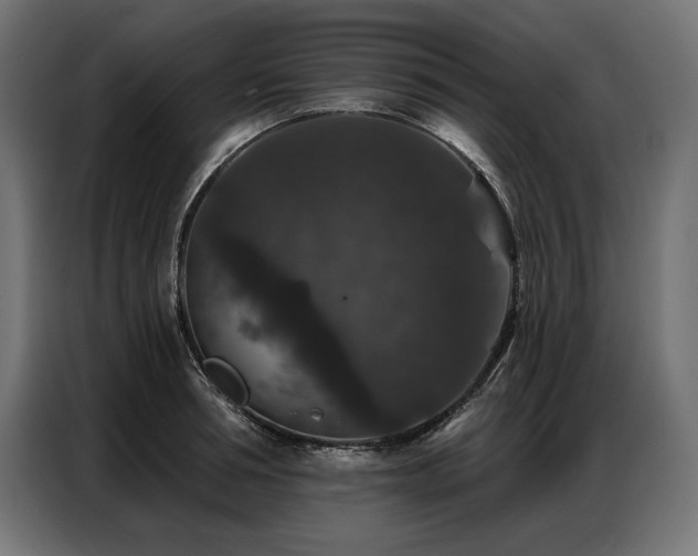 X0000086880994200704161217