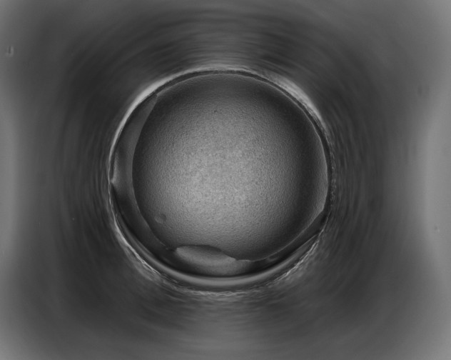 X0000086880996200704161217