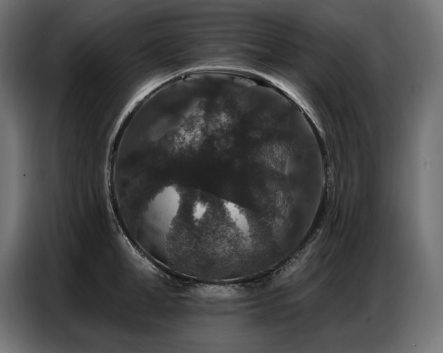 X0000086880998200704161217