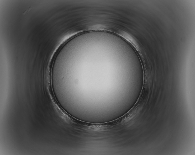 X0000086881000200704161217