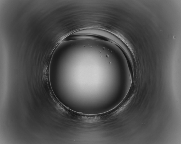 X0000086881001200704161217