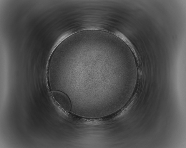 X0000086881002200704161217