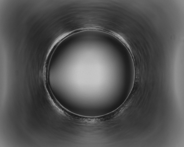 X0000086881003200704161217