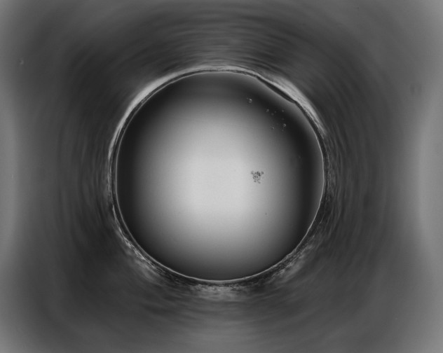 X0000086881004200704161217