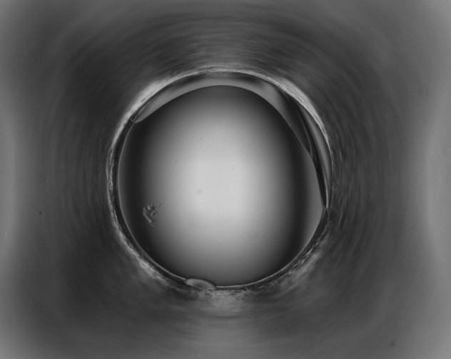 X0000086881005200704161217