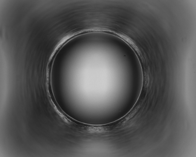 X0000086881006200704161217