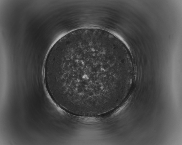 X0000086881007200704161217