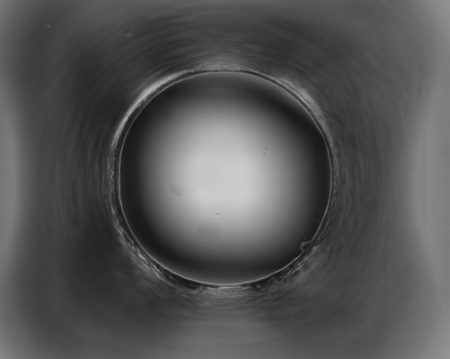 X0000086881008200704161217