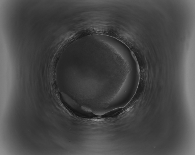 X0000086881009200704161216