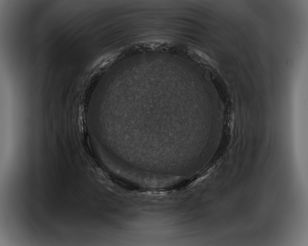 X0000086881014200704161216