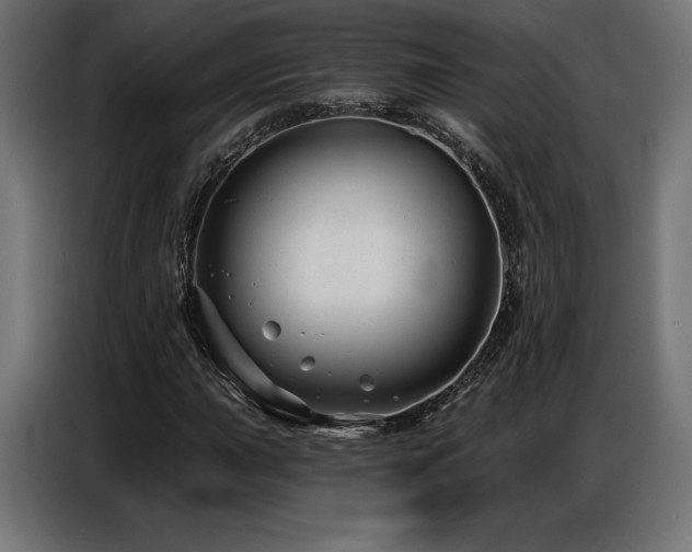 X0000086881015200704161216