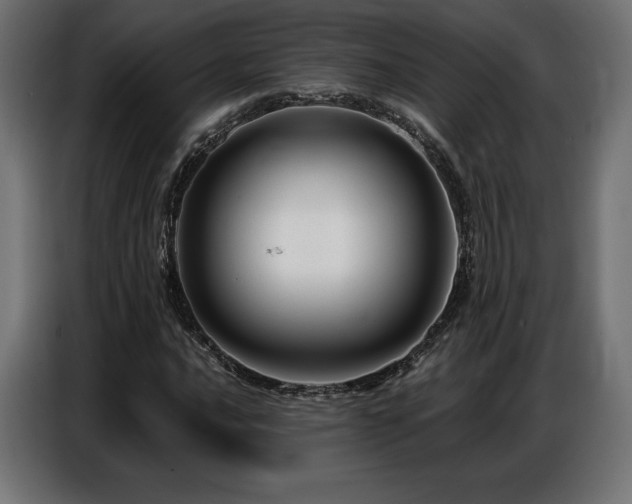 X0000086881016200704161216