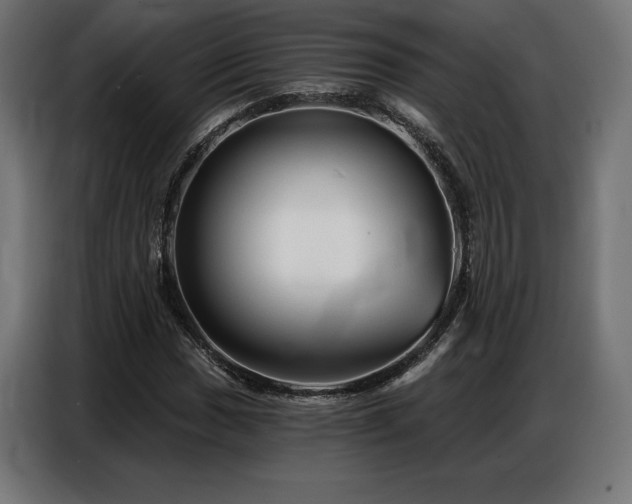 X0000086881017200704161216