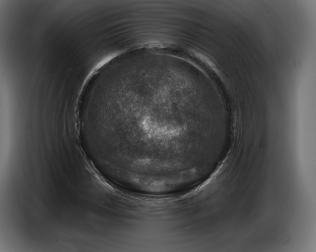 X0000086881018200704161216