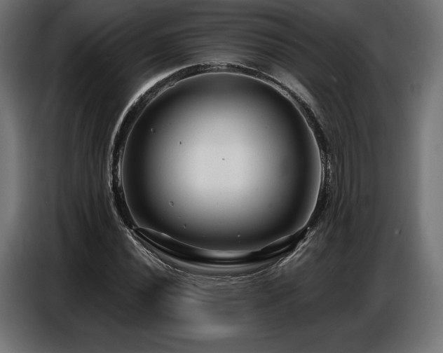 X0000086881020200704161216