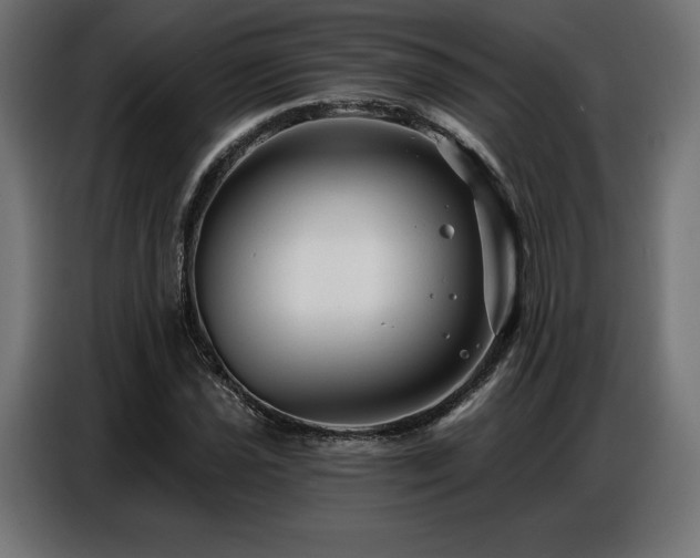 X0000086881021200704161216