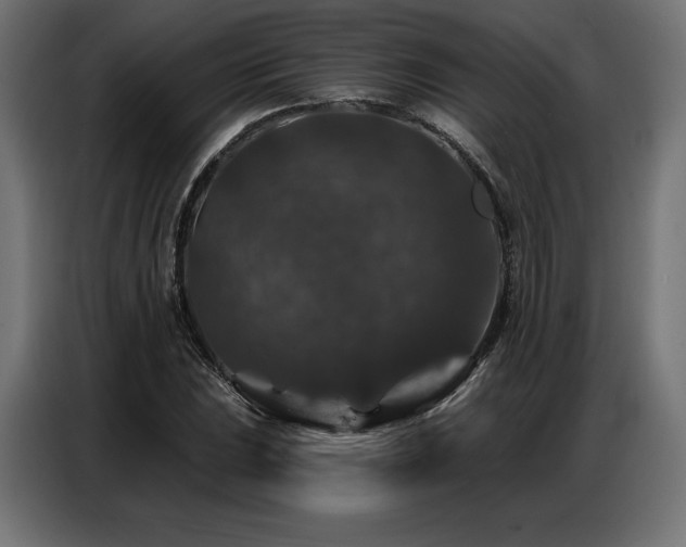 X0000086881023200704161216