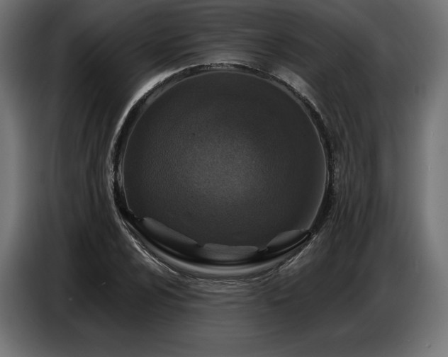 X0000086881024200704161216