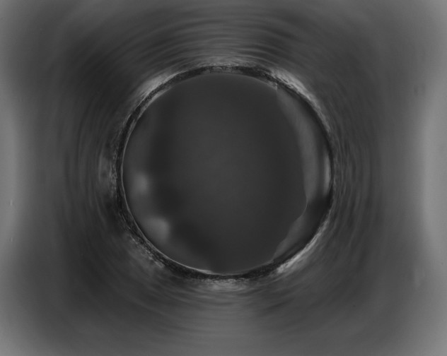 X0000086881025200704161216