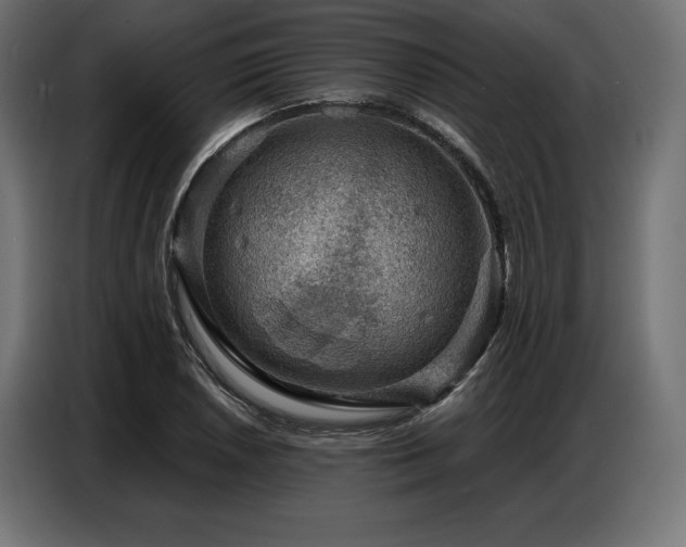 X0000086881026200704161216