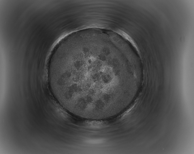 X0000086881027200704161216