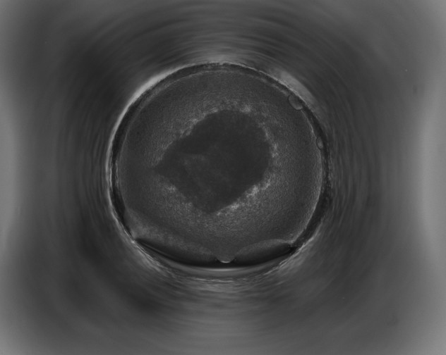 X0000086881028200704161216