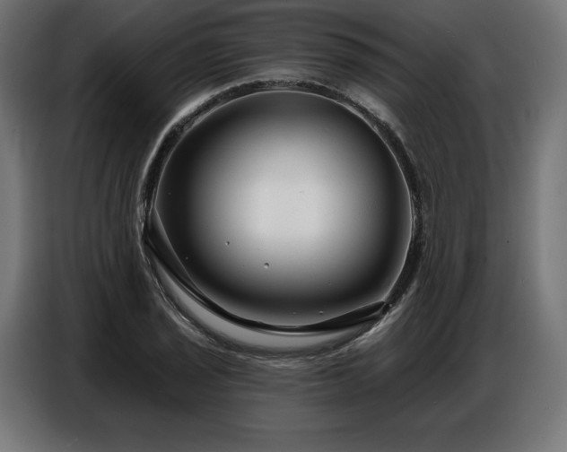 X0000086881029200704161216