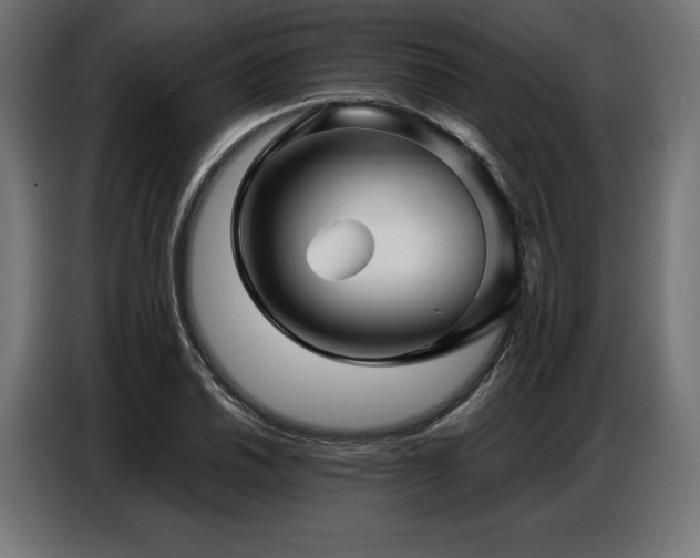 X0000086881030200704161216