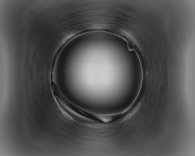 X0000086881033200704161216