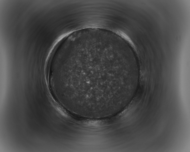 X0000086881035200704161216