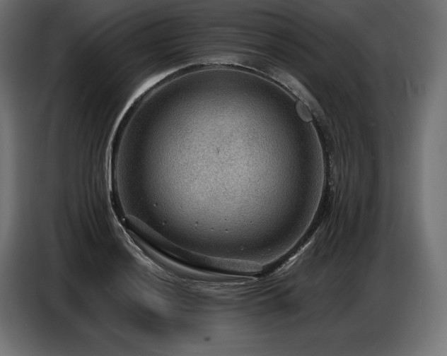 X0000086881036200704161216