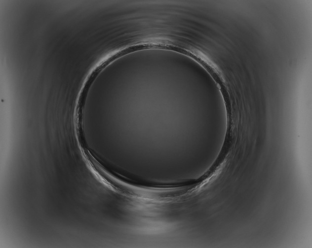 X0000086881037200704161216