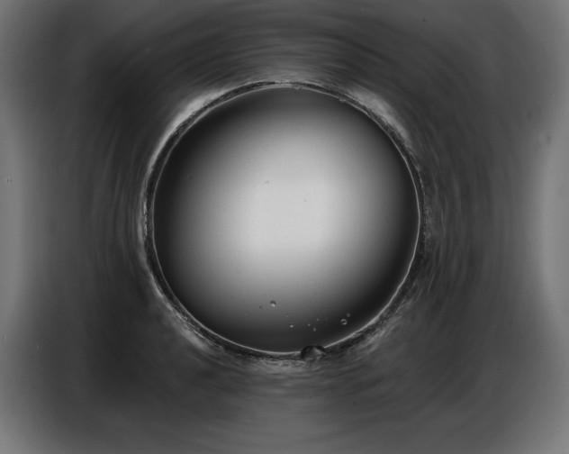 X0000086881040200704161216