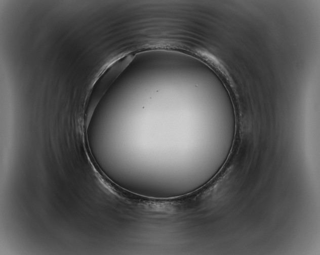 X0000086881041200704161216