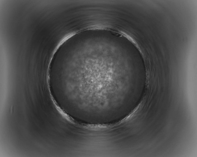 X0000086881042200704161216