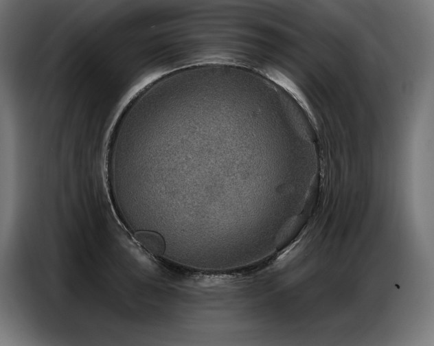 X0000086881043200704161216