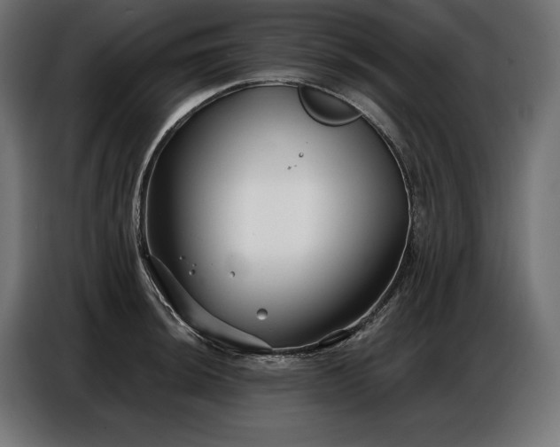 X0000086881044200704161216