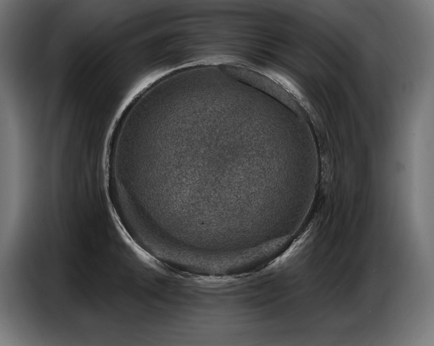 X0000086881046200704161216