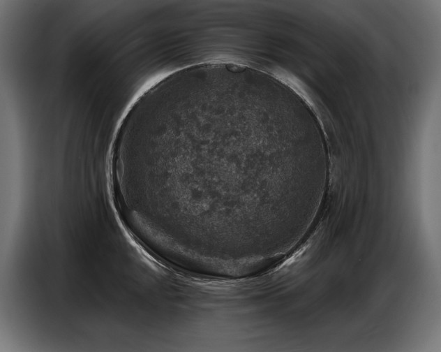 X0000086881048200704161216