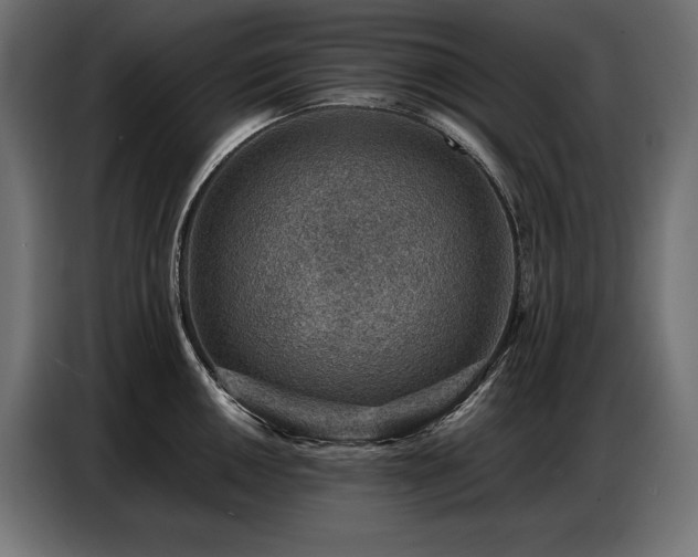 X0000086881050200704161216