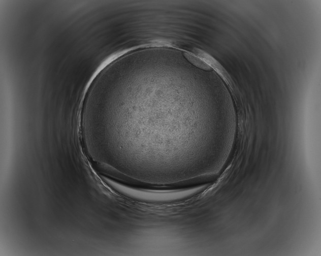 X0000086881052200704161216