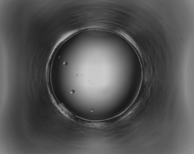 X0000086881053200704161216