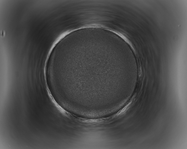 X0000086881054200704161216